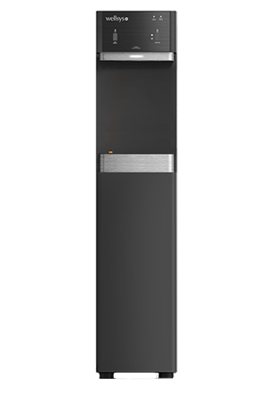 Wellsys